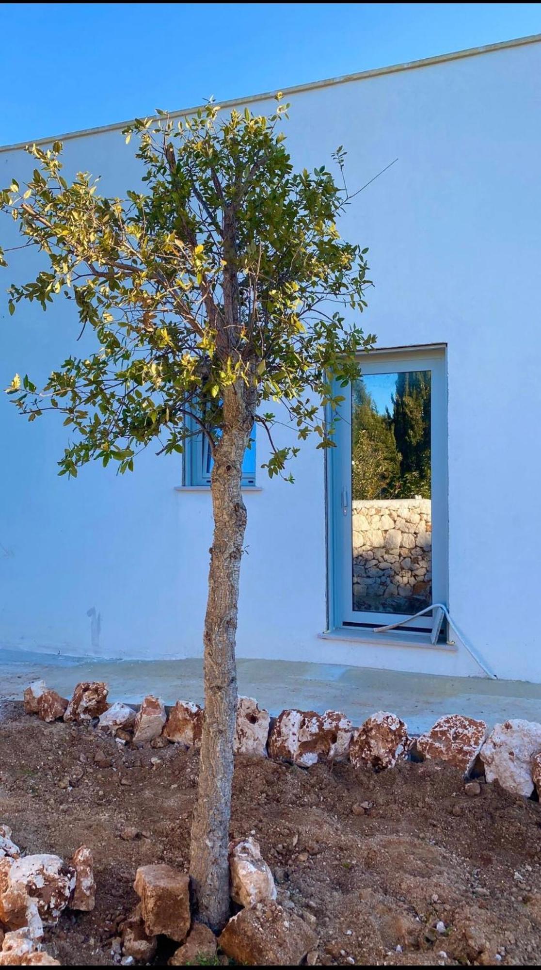 Casita Vila Ostuni Exterior foto